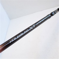 ホリデーイソＸＴ１、５ー４５０